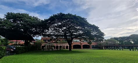 PAREF Woodrose School .